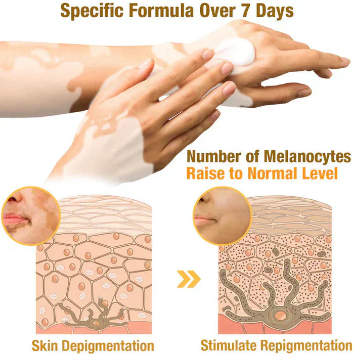 Revitalizing Bee Venom Cream – Natural Skin Restoration & Vitality 20g