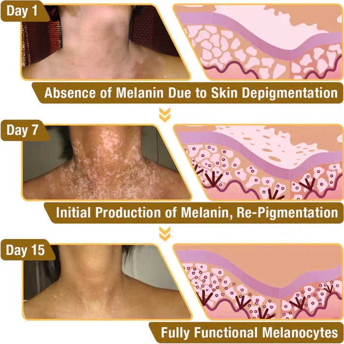 Revitalizing Bee Venom Cream – Natural Skin Restoration & Vitality 20g
