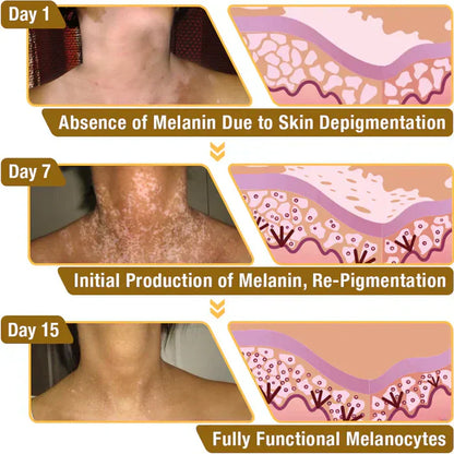 Revitalizing Bee Venom Cream – Natural Skin Restoration & Vitality 20g